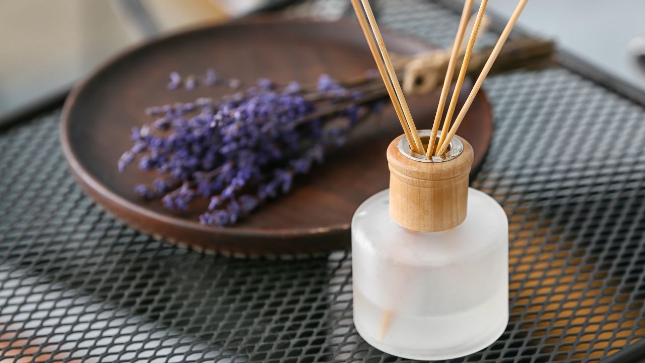 7 Facts that Prove Reed Diffusers Are the Best for Home Fragrance